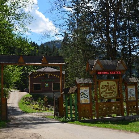 Sadyba Lisova Kvitka Верхній Ясенів Екстер'єр фото